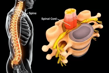 Best Spine Injury Treatment 